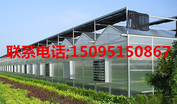 供应建造文洛式阳光板温室 文洛式阳光板温室大棚 一平方阳光板温室的价格