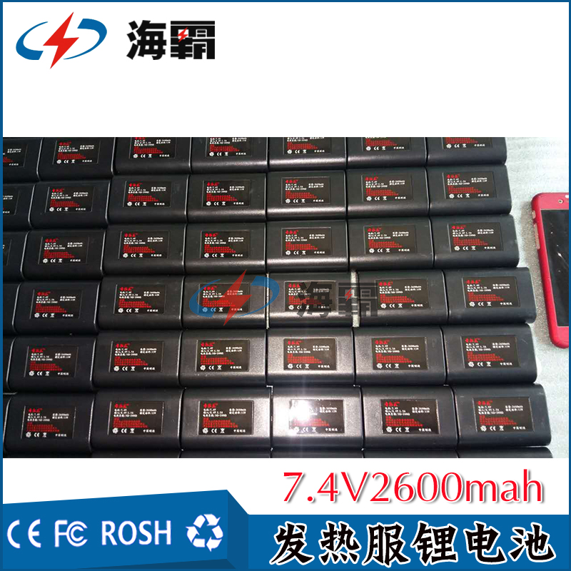 深圳锂电池厂家  广东高温电池报价