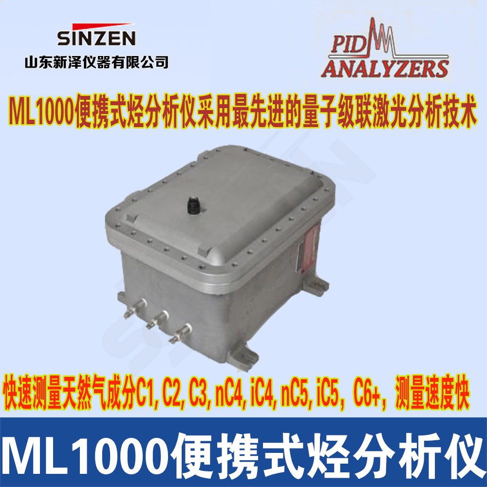 ML1000便携式烃分析仪