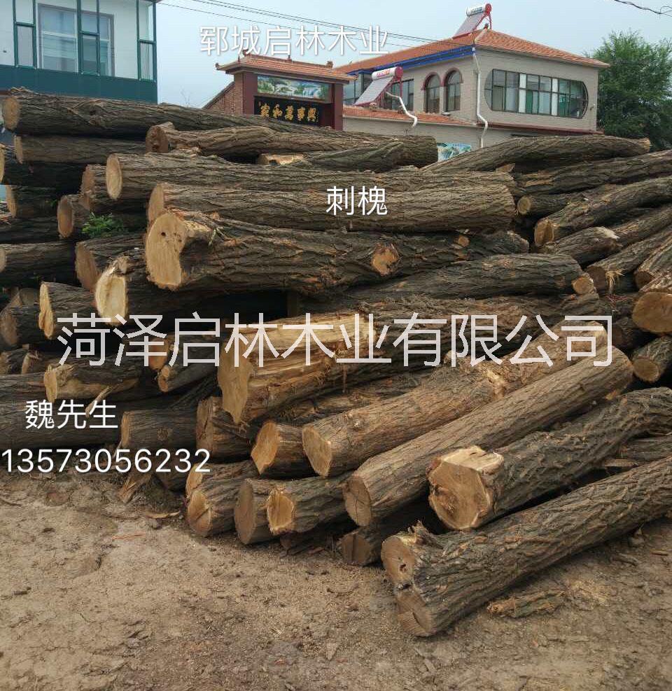 大量供应用于枕木/车辆/建筑/矿柱的洋槐木/大径优质洋槐原木