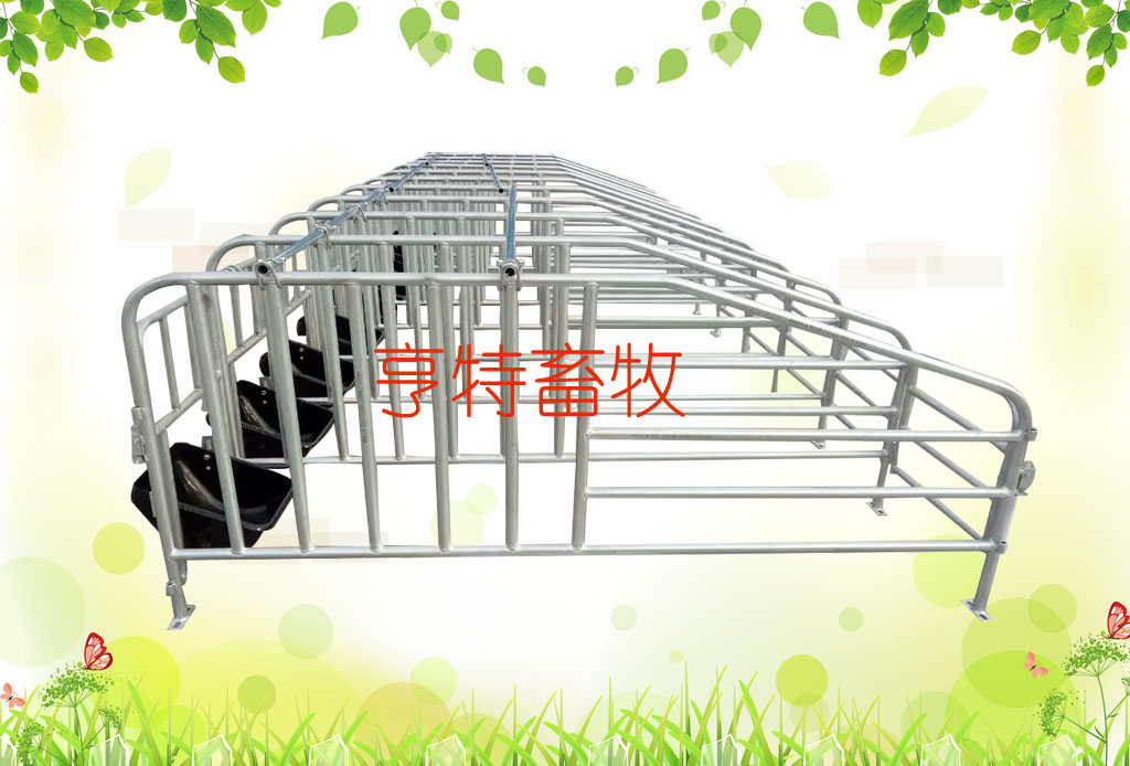 畜牧业母猪定位栏带钢板食槽 亨特定做优质限位栏尺寸
