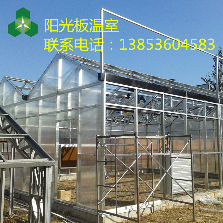 潍坊市pc板温室大棚厂家pc板温室大棚 山东阳光板温室大棚基地 pc板温室大棚的价格规格