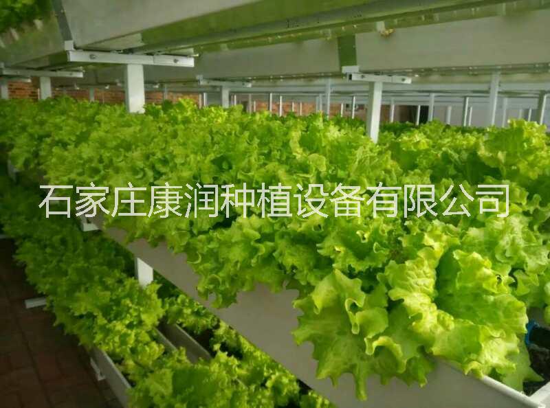 壁挂式种植槽价格 壁挂式种植槽供应 壁挂式种植槽批发 哪里好