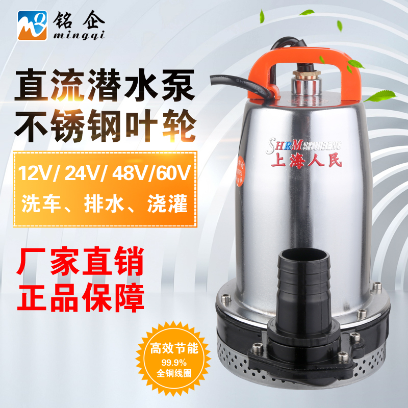 台州市直流泵 微型电动车水泵厂家