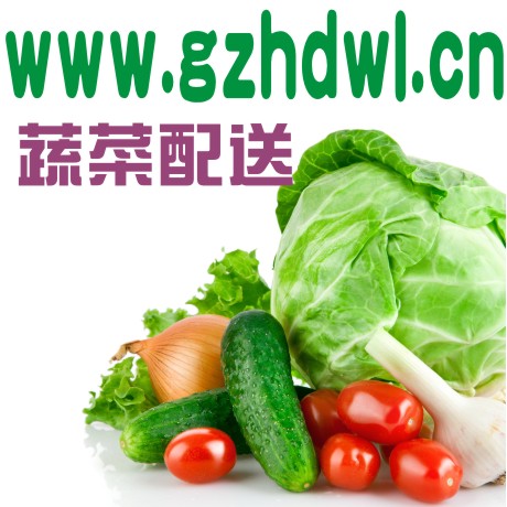 白云区蔬菜配送  广州鲜一百蔬菜 白云区蔬菜配送广州鲜一百蔬菜公司