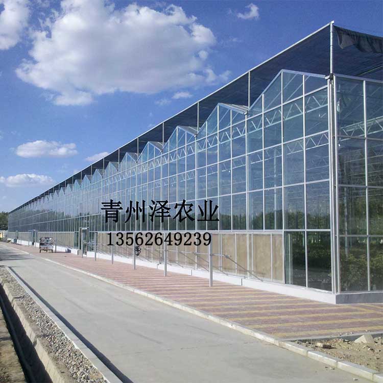 河南玻璃温室工程 专业温室工程建设  农业玻璃展厅建设 智能玻璃温室 智能玻璃大棚