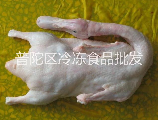 上海市上海哪里批发冷冻白条鸭 鸭腿厂家