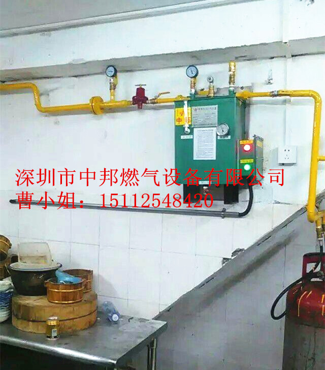 供应大理中邦20Kg液化气气化器 电热式气化器 云南气化器