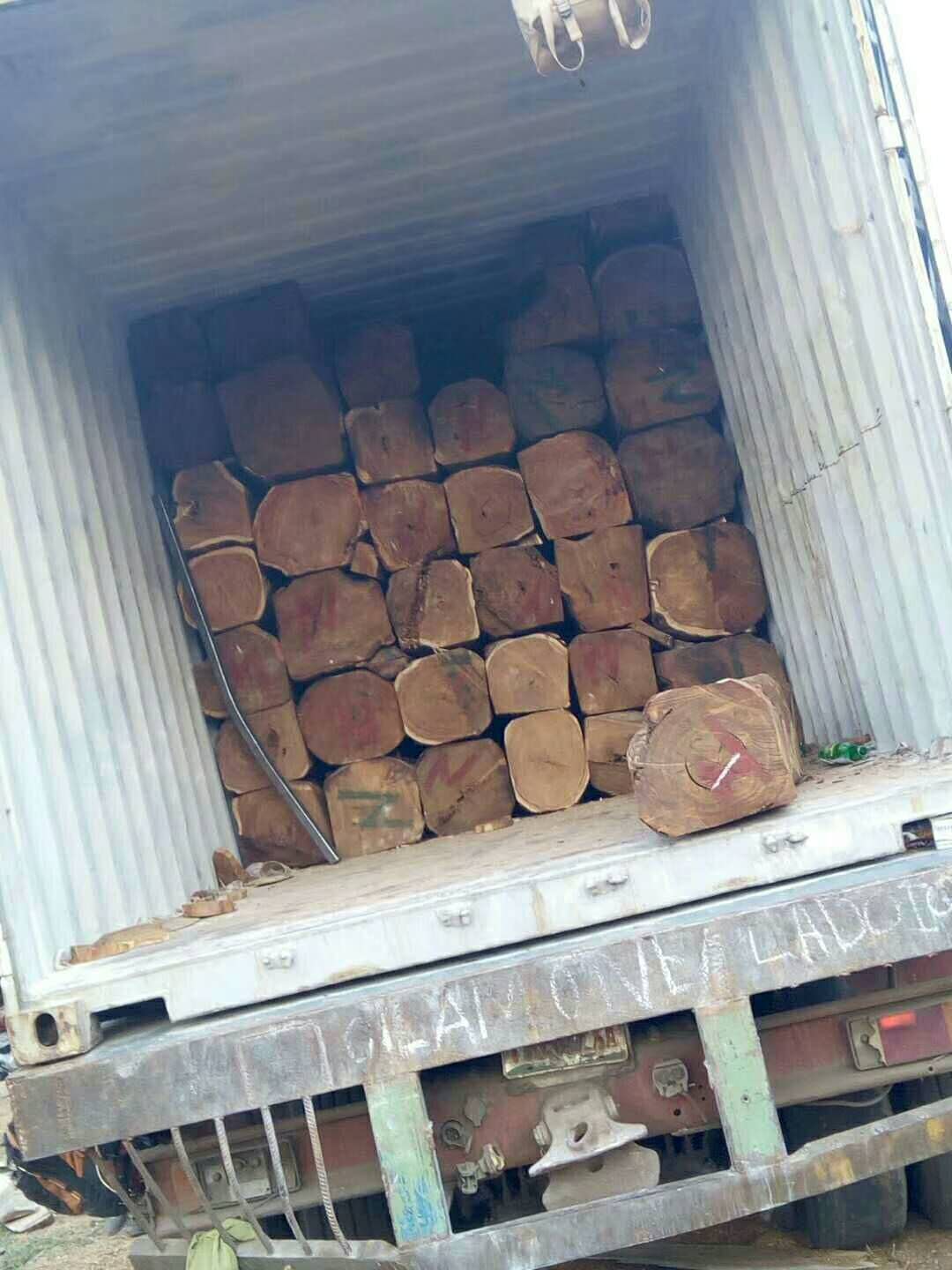广州市黄埔港木材海运进口清关厂家