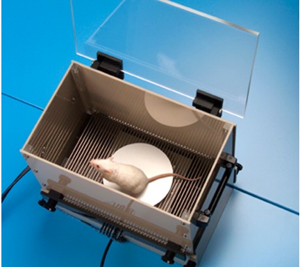 KW-500小鼠跳台记录仪
