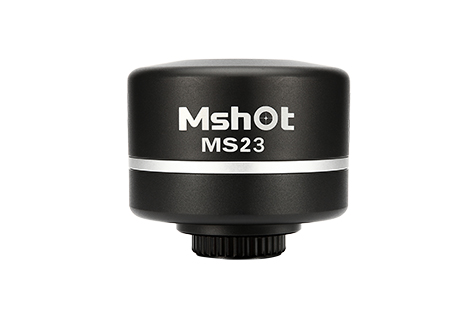 显微镜摄相机 MS23批发