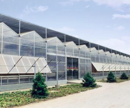 煜林枫阳光板温室设计安装 阳光板温室大棚造价 欢迎咨询