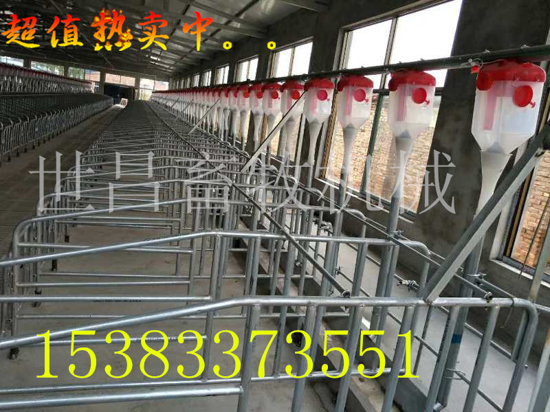 沧州市猪场自动化喂猪厂家猪场自动化喂猪料线价格安装