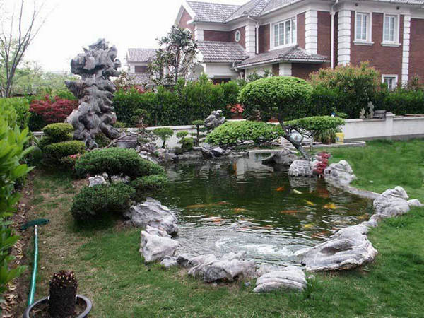 如何设计您的庭院假山鱼池？批发