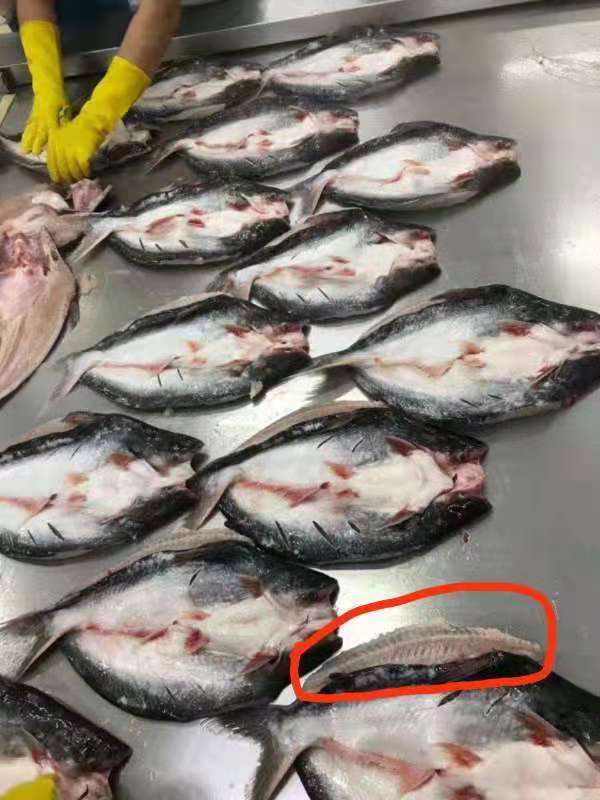 巴沙鱼清江鱼腌制鱼湄公鱼凌波鱼