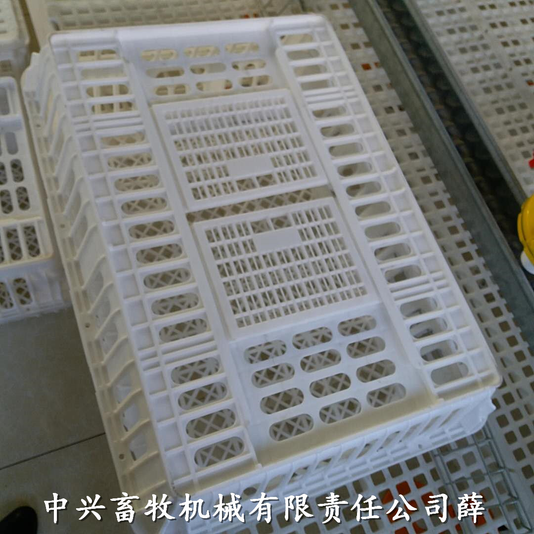 潍坊市塑料运输鸡笼厂家