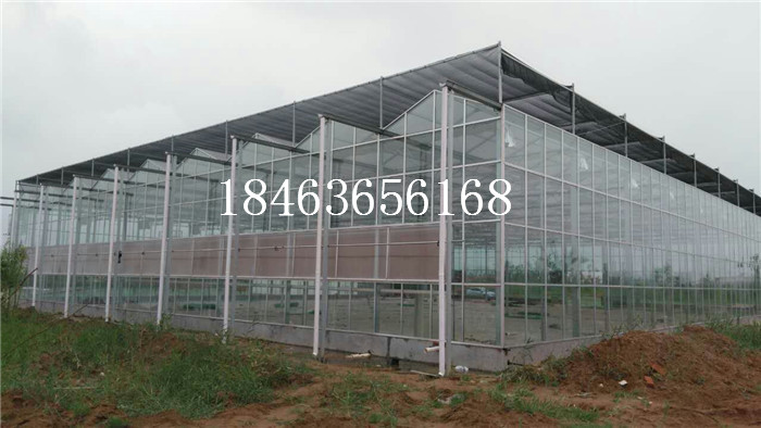 玻璃蔬菜大棚建造,玻璃房子温室 山东温室大棚建造