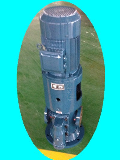供应立式主轴润滑泵HSNS210-46图片