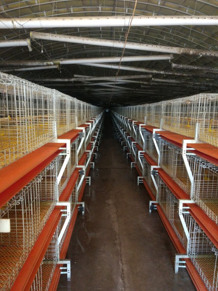 石家庄工厂生产保定阜平用的肉鸡笼