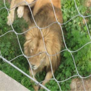 宁夏动物园专用狮子笼舍不锈钢手工 狮子笼舍不锈钢绳网图片