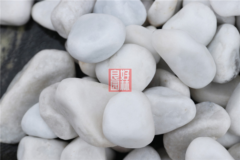 机制白鹅卵石，广东白色鹅卵石厂家，白石价格，3-5MM白色石米图片