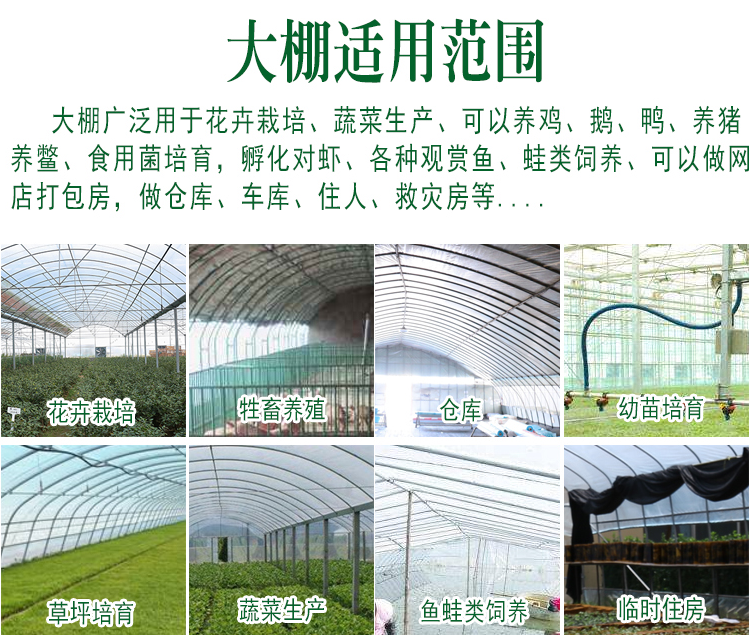 一亩地大棚建造成本蔬菜大棚葡萄棚种植棚温室大棚图片