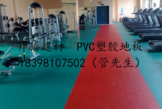 蓬溪私教中心PVC塑胶地板PVC批发