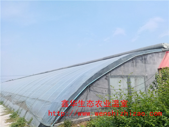 安徽日光温室建设安徽日光温室建设 几字钢日光温室 双拱型日光温室适用范围