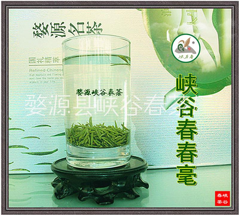 江西绿茶 婺源峡谷春春毫绿茶