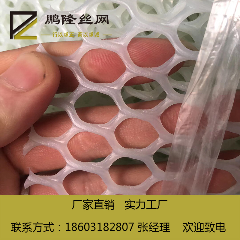 河北鹏隆丝网 优质 养殖用网塑料平网 厂家现货供应
