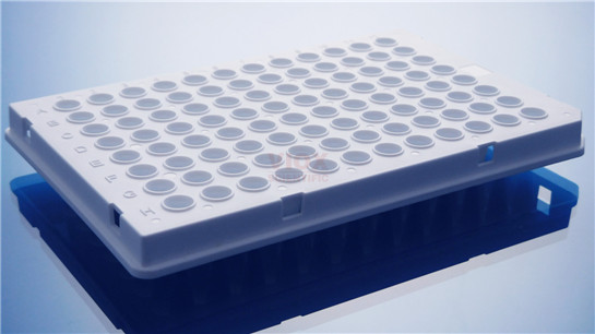 Roche480专用PCR96孔