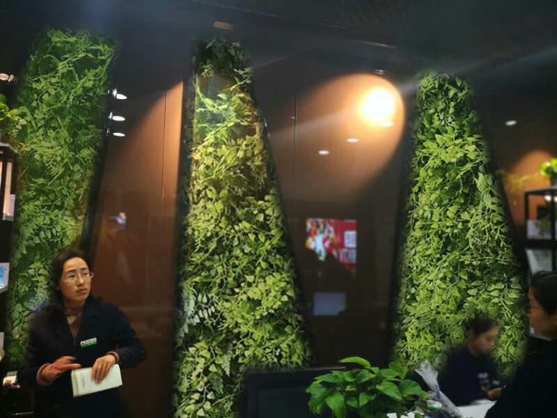 保定市垂直绿化植物墙厂家垂直绿化植物墙雄安保定昊帅专业安装