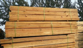 方木模板回收厂家-方木模板高价回收-方木模板回收电话-方木模板回收价格-厂家热线