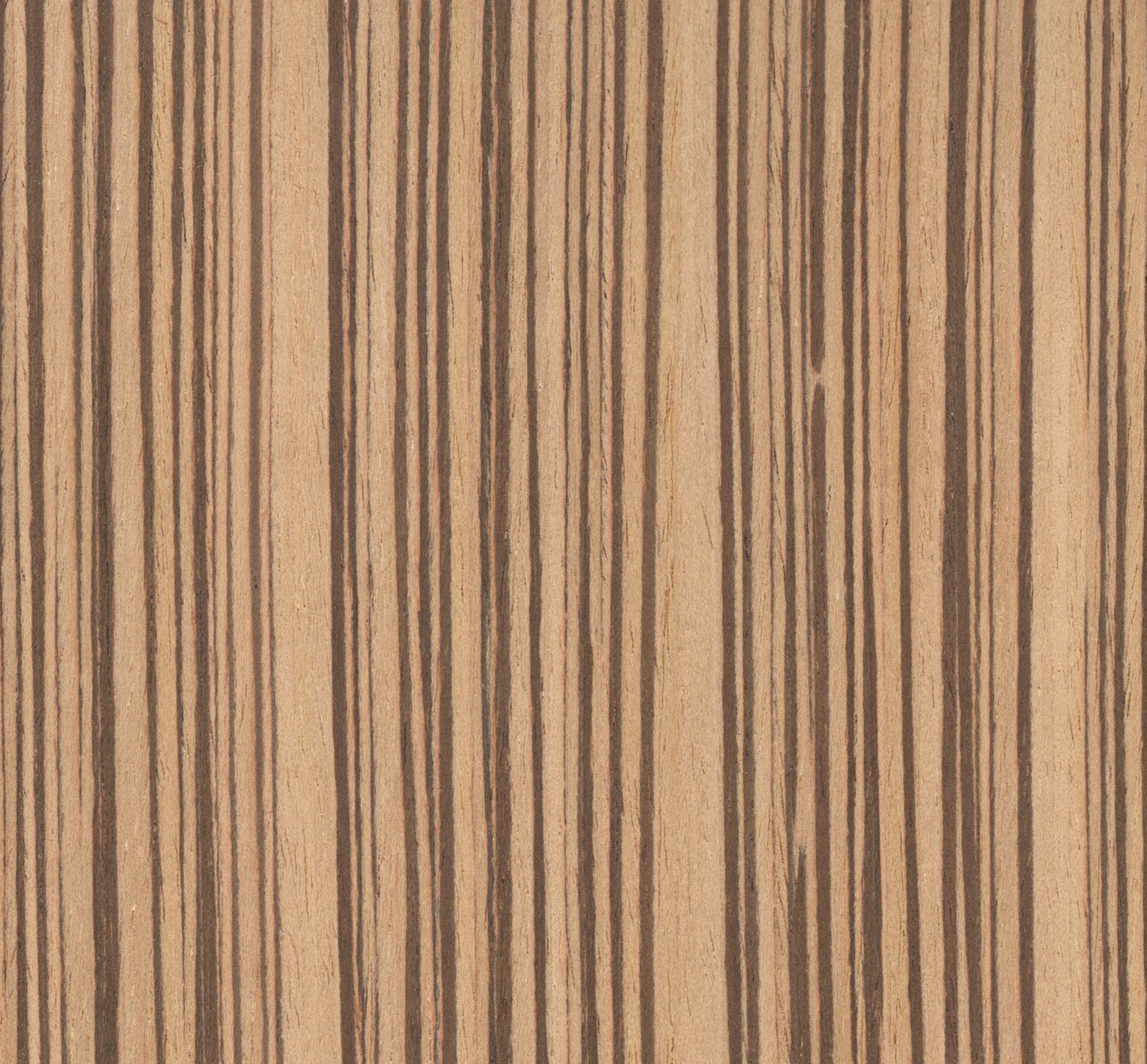 维尼VN62 斑马科技木皮