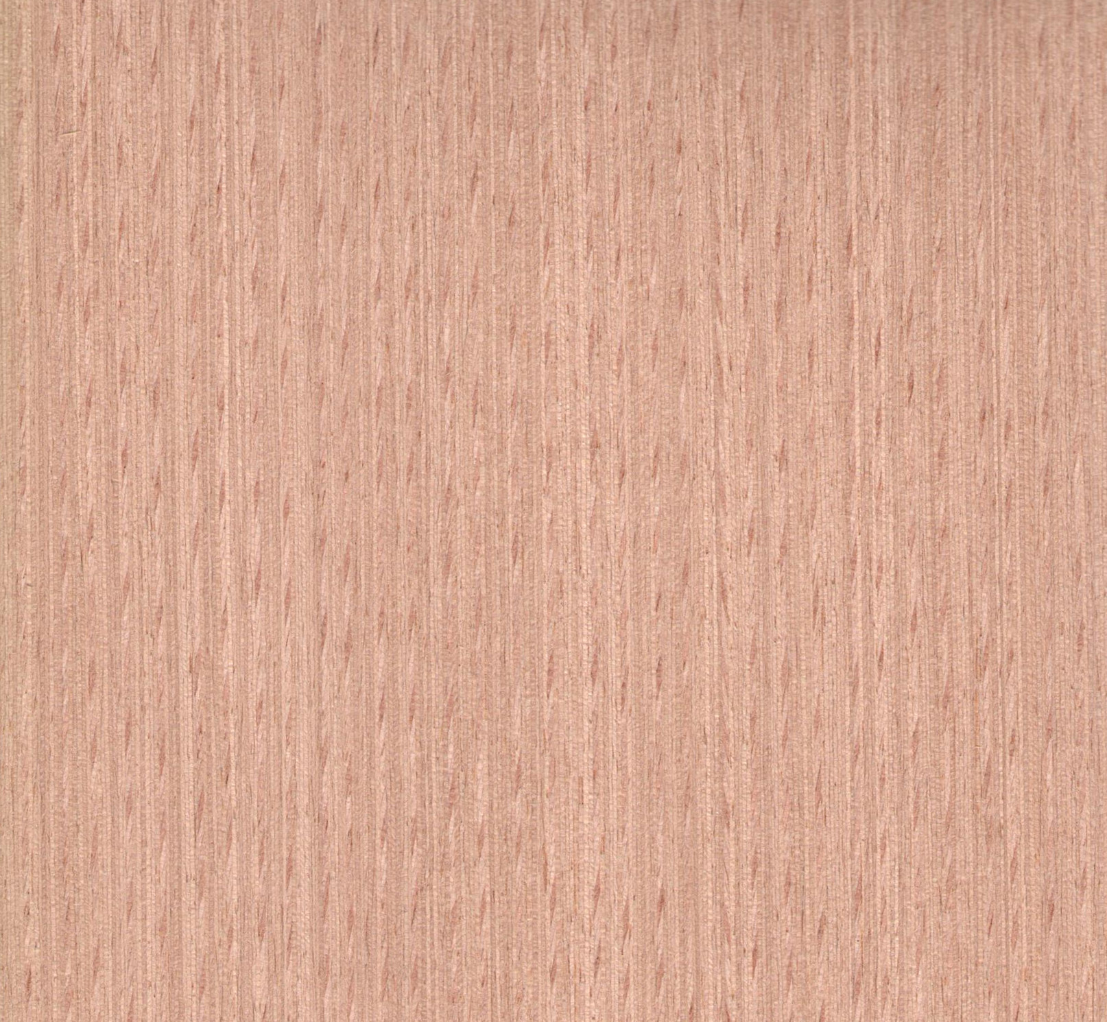 维尼VN29 红榉科技木皮