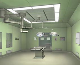 供应安徽天鸿达手术室百级层流净化施工设计