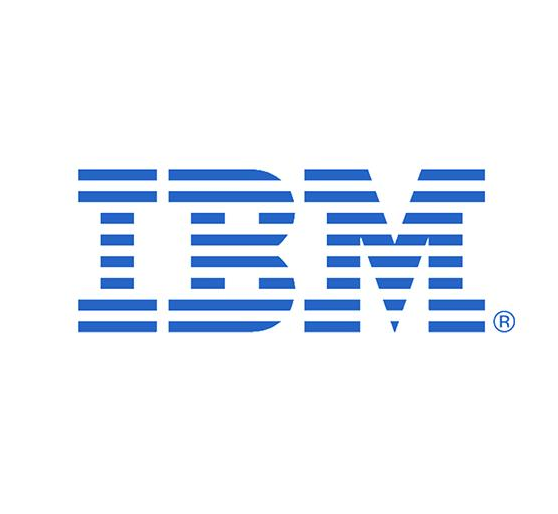IBM 300GB 10K 300GB 10K SAS 2.5 42D0628图片