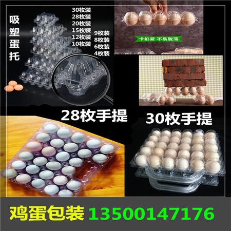 菏泽市塑料鸡蛋托_山东鸡蛋包装盒厂家