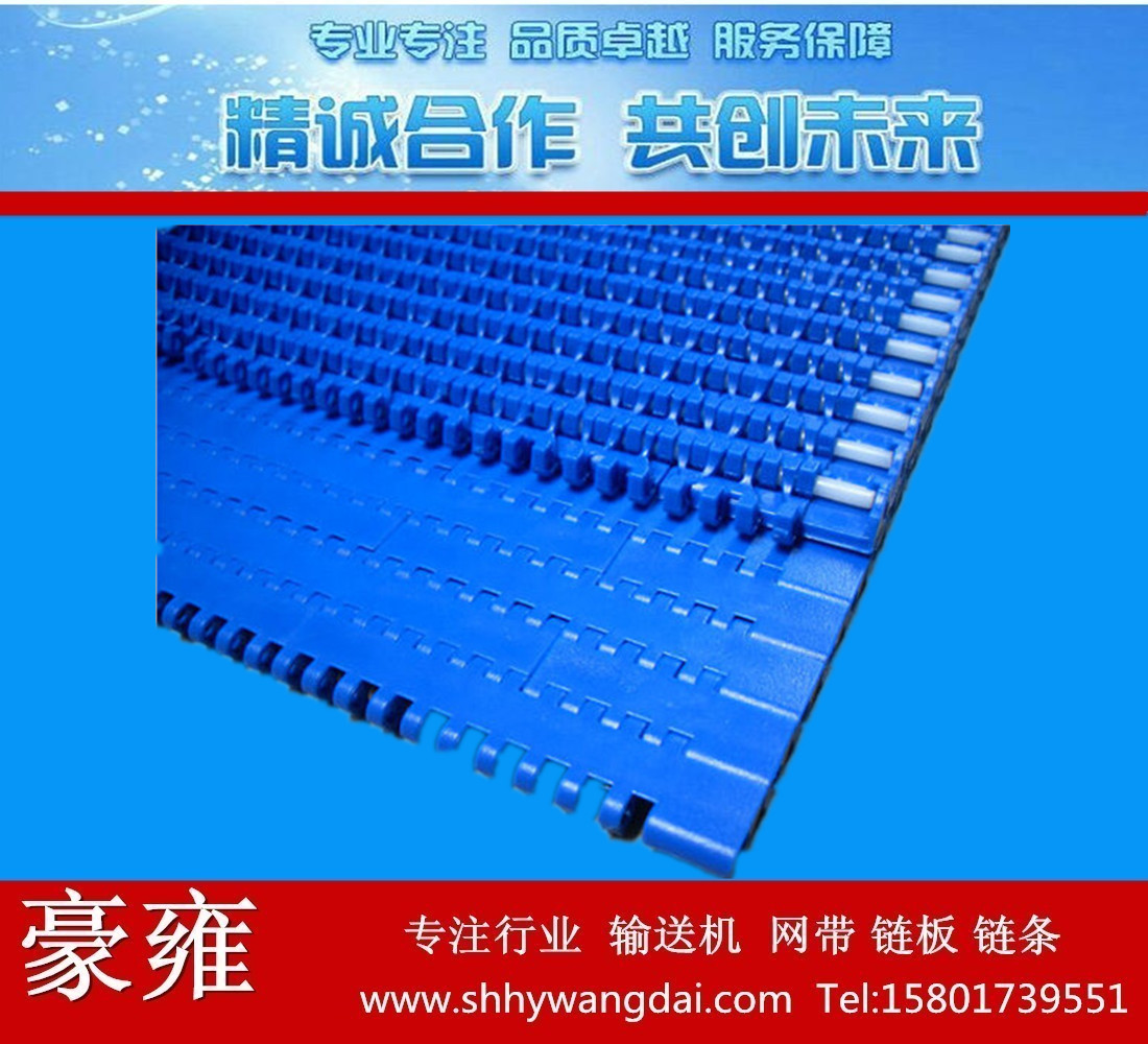 上海市豪雍1100型号塑料网带型号厂家
