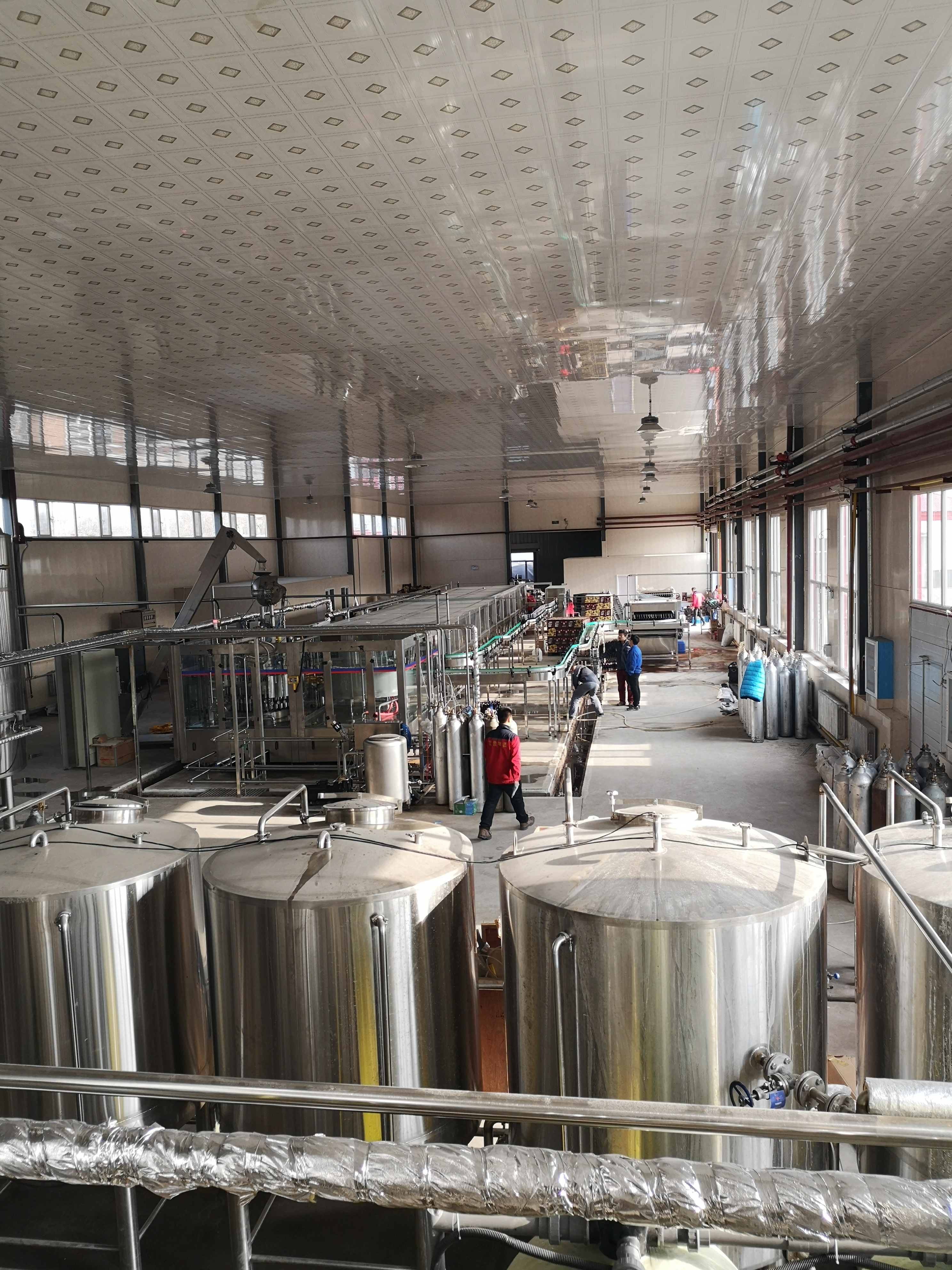 山东赫尔曼 厂家直销啤酒设备HEM-D糖化三器