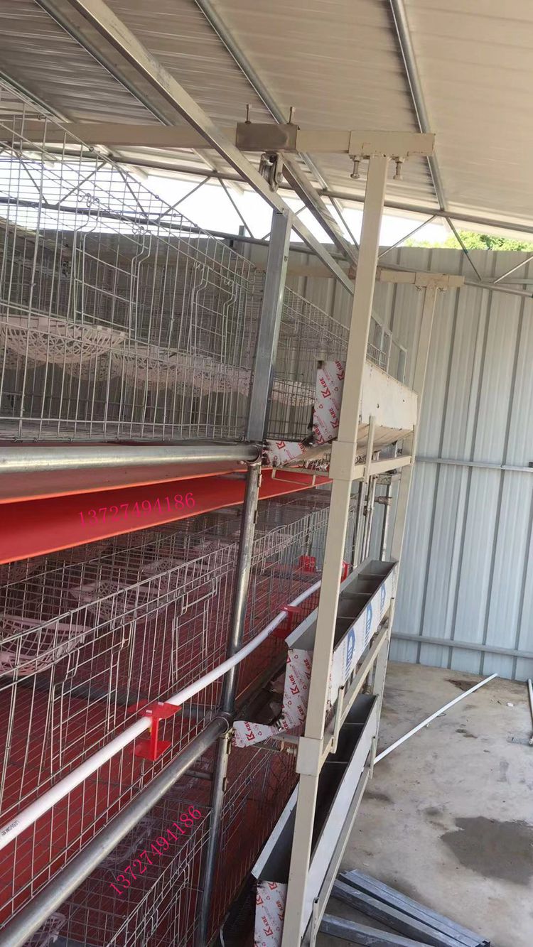 佛山市生产鸡场自动喂料机  传送带清粪厂家