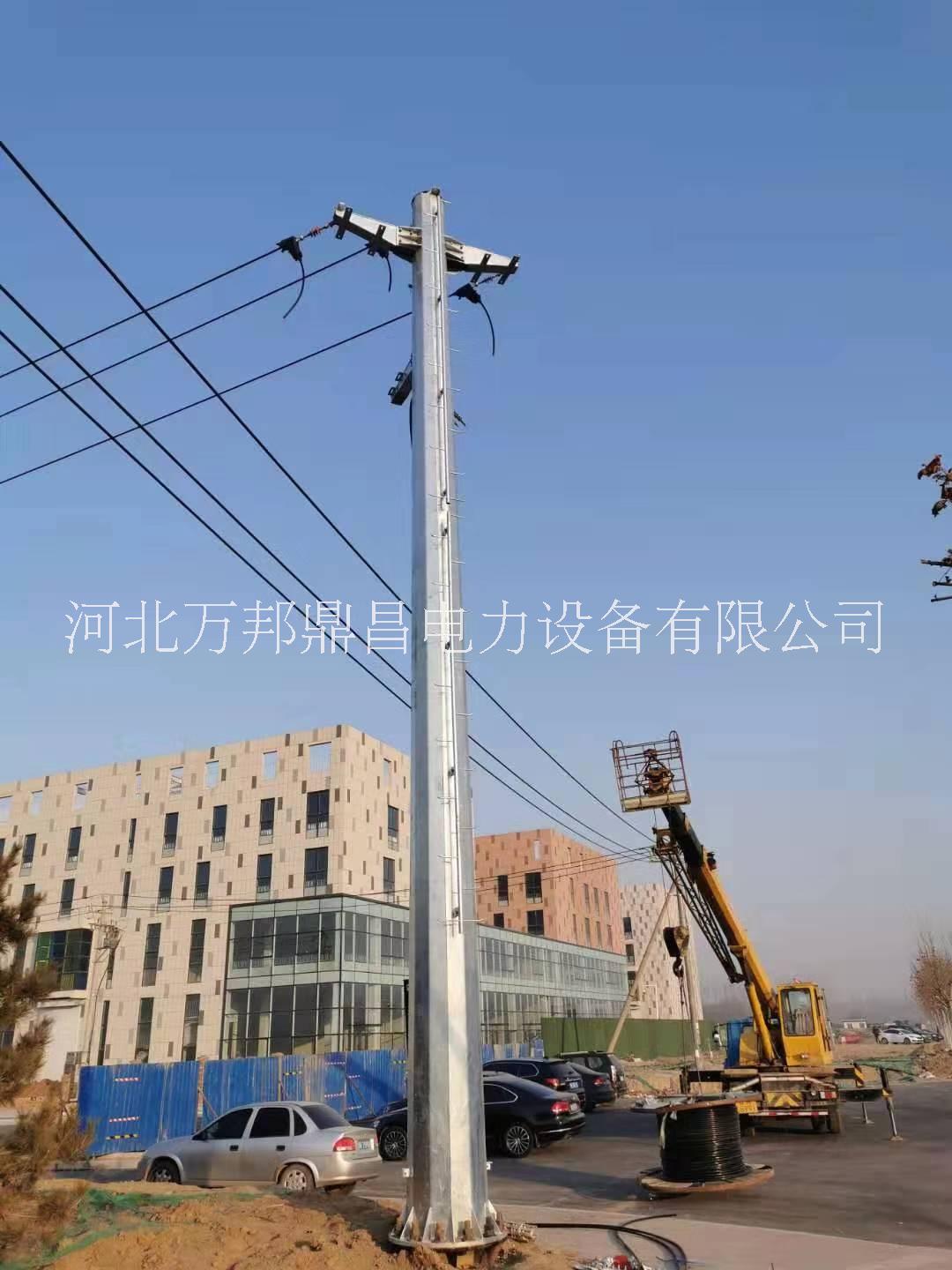 【真不错】大连13米钢杆 13米钢杆厂家-河北万邦鼎昌电力设备有限公司图片