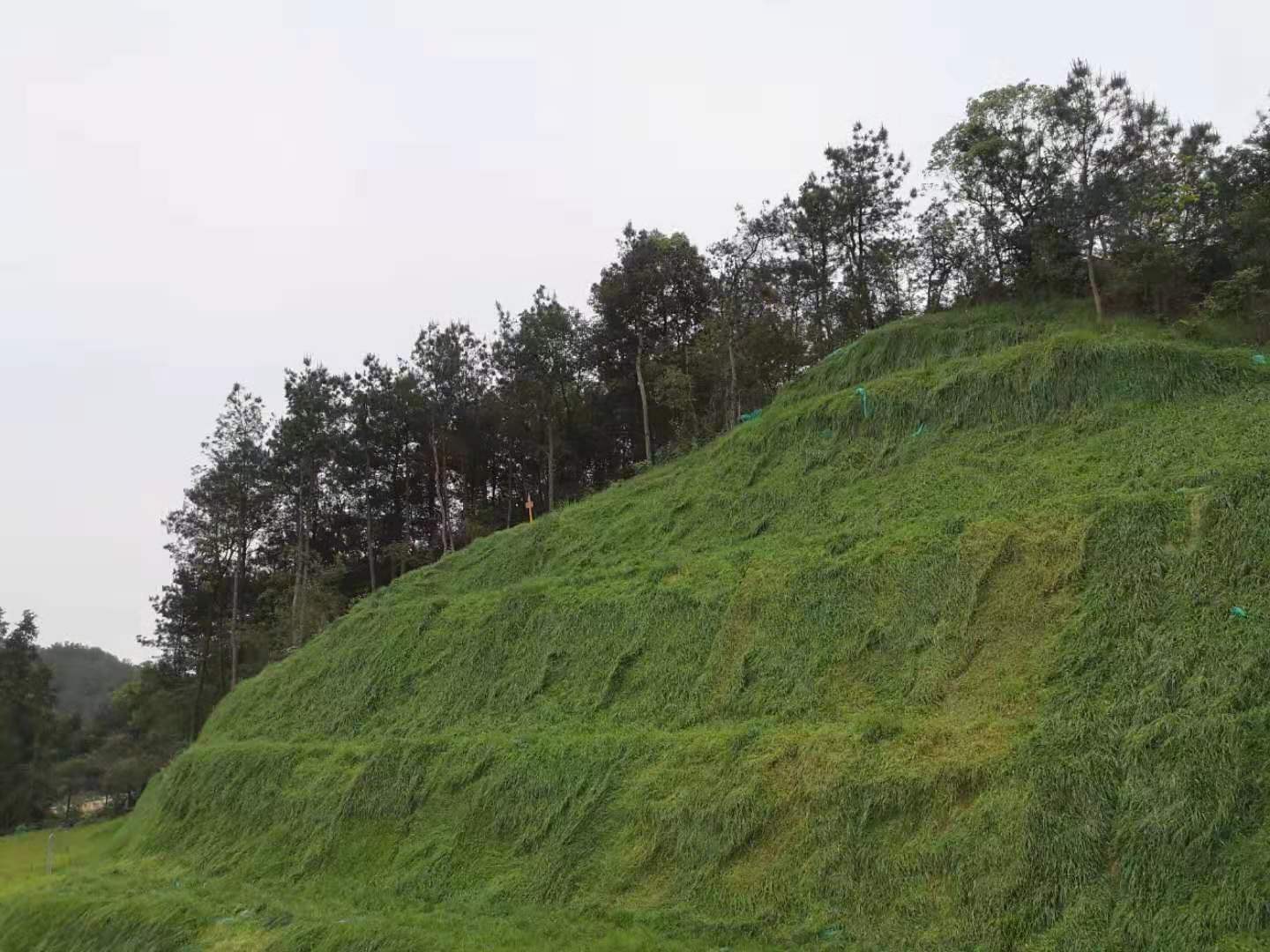 嘉树湘公司承接山地覆绿、土壤修复工程，数十年积淀的实力施工方，不容忽视。
