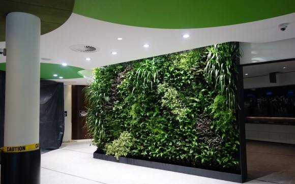 广东室内植物墙 室内植物墙供应商 室内植物墙哪家好图片