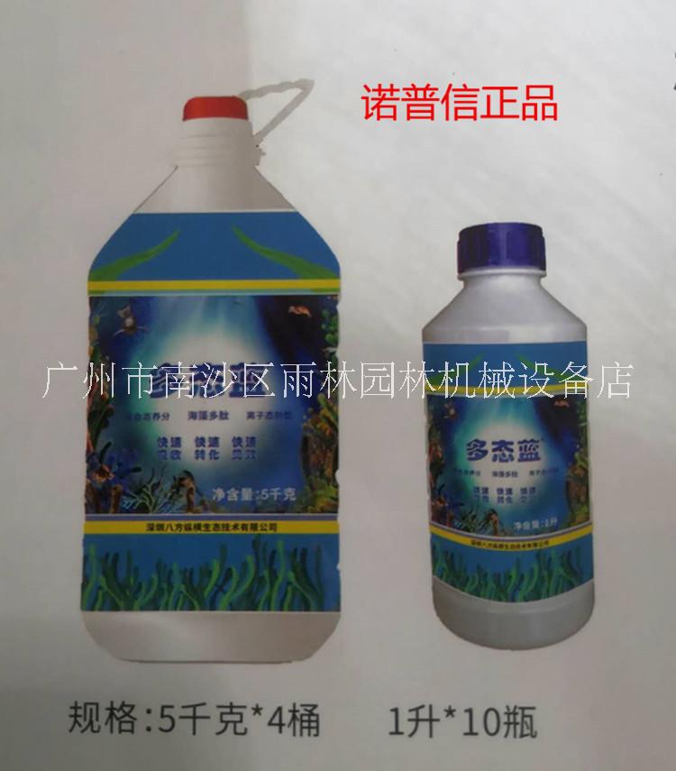 广东广州诺普信多态蓝植物海藻多肽水溶肥厂家直销