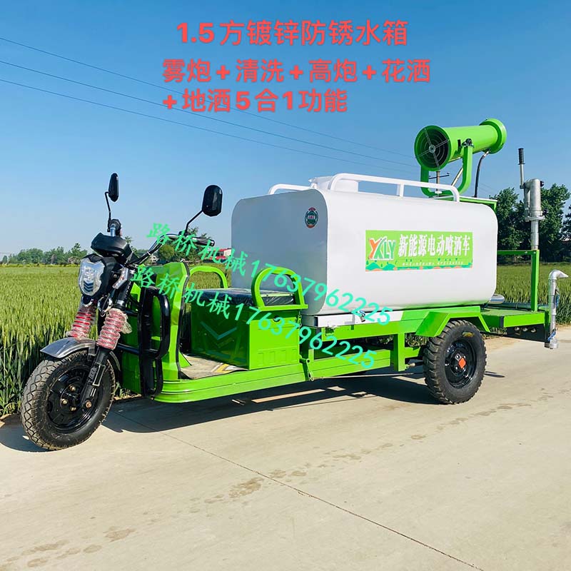 小型雾炮车 小型雾炮洒水车 可移动小型浇水车新能源电动环保洒图片