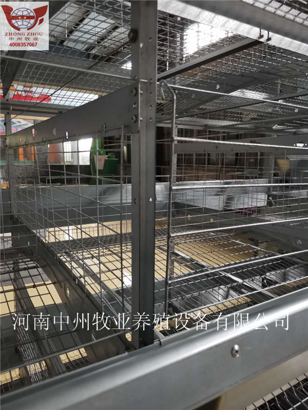 蛋鸡笼 自动化养殖设备厂家生产蛋鸡笼 自动化养殖设备 现代化鸡笼设备