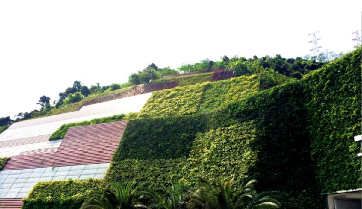 上海市垂直立体绿化厂家城市边坡生态景观绿化 垂直立体绿化
