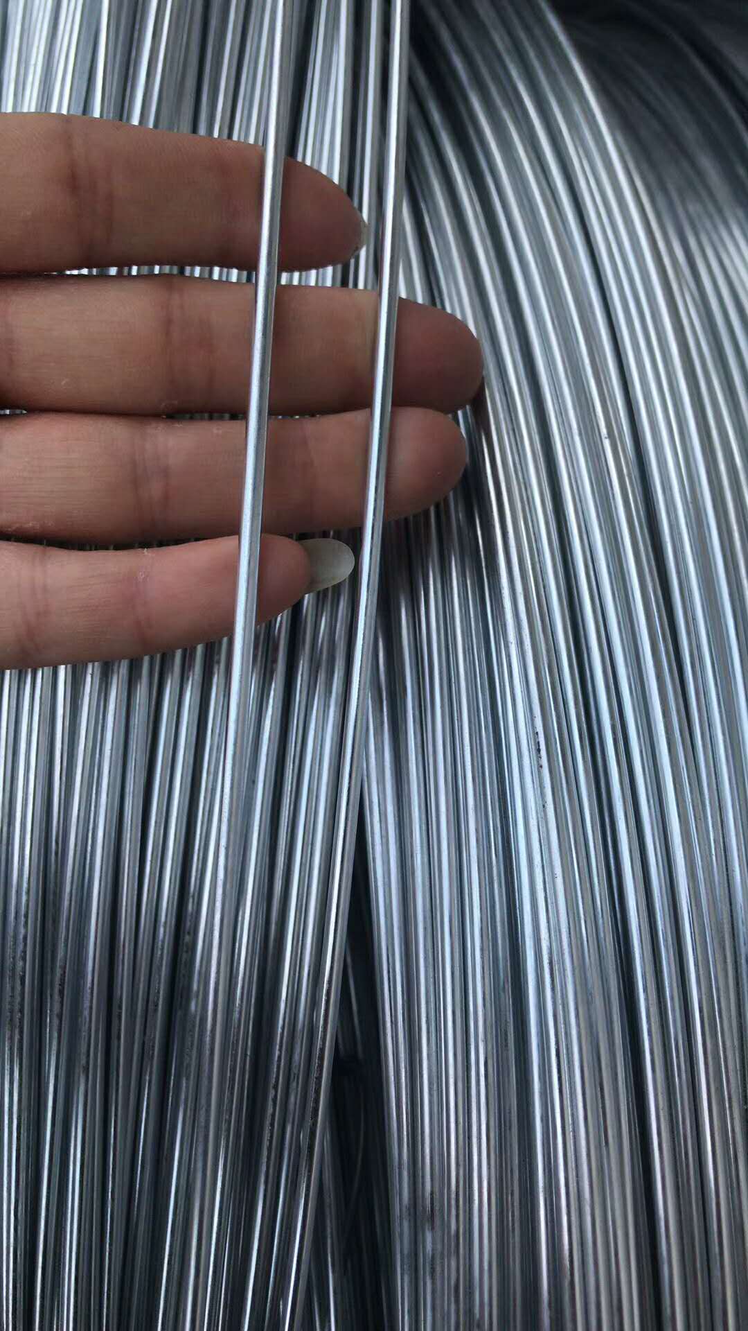 衡水市厂家直销热镀锌钢绞线价格 钢芯铝绞线生产厂商