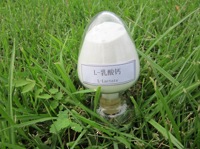 郑州瑞普食品级低微生物L乳酸钙批发